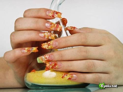 http://shimkent.ucoz.ru/blog-pic/nail/13.jpg