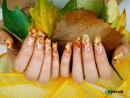 http://shimkent.ucoz.ru/blog-pic/nail/19.jpg